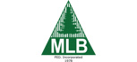 logo_mlb